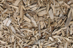 biomass boilers Tillyfourie